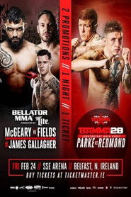 Poster Bellator 173: McGeary vs. McDermott 2017