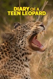 Poster Diary of a Teen Leopard