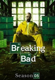 Breaking Bad (2012) English Season 5 Complete