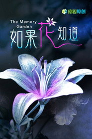 The Memory Garden poster