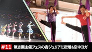 Afsnit 11
