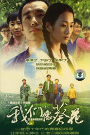 我们像葵花