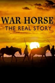 War Horse The Real Story
