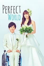 Perfect World постер