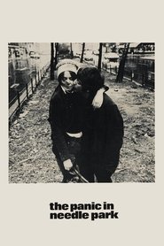 The Panic in Needle Park (1971) online ελληνικοί υπότιτλοι