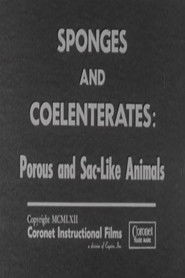 Sponges and Coelenterates: Porous and Sac-Like Animals (1962)
