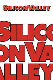 Silicon Valley — Temporada 6