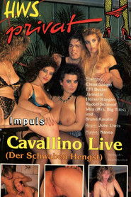 Cavallino Live (Der Schwaben Hengst)
