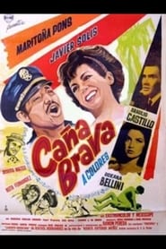 Caña brava (1965)