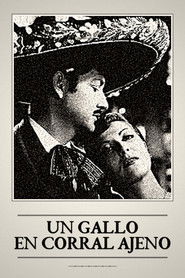 Un gallo en corral ajeno