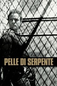 Pelle di serpente) Pelle di serpente (1960)