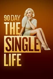 90 Day: The Single Life poster