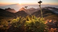 Les îles Canaries en streaming