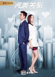 مشاهدة مسلسل Perfect Partner مترجم أون لاين بجودة عالية
