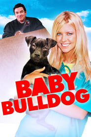 Poster Baby Bulldog