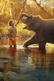 The Elephant Whisperers / Γητευτές Ελεφάντων (2022) online ελληνικοί υπότιτλοι