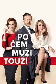Po čem muži touží