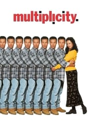 Multiplicity poster