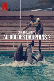 ¿Qué le pasó al rey de los delfines?