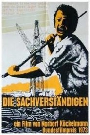 Poster The Experts 1973