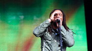 The Wailers