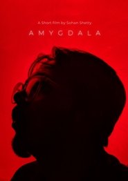 Amygdala streaming