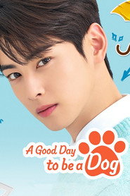 A Good Day to be a Dog poster