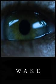 Poster Wake