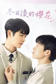 Hoa Anh Đào Cuối Đông – Hàn Quốc