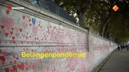 De belangenpandemie