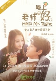 Poster Hello Mr. Right 2016