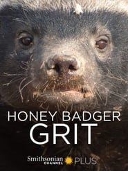 Poster Honey Badger: Grit