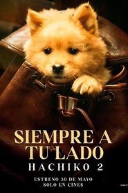 Imagen Hachiko