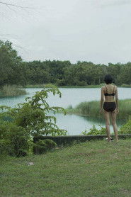 Not a Time to Celebrate (2019)