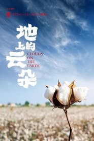 地上的云朵