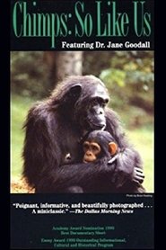 Poster Chimps: So Like Us 1990