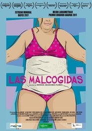 Poster Las malcogidas 2017