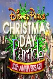 Disney Parks Christmas Day Parade