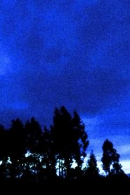 Looking South (2025)