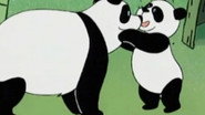 Le panda