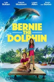 Bernie the Dolphin 2018