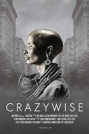 Poster Crazywise 2017