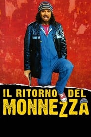 Poster Il ritorno del Monnezza