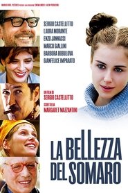 La bellezza del somaro