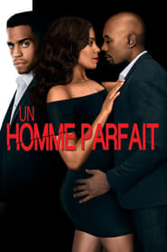 Voir Un homme parfait en streaming vf gratuit sur streamizseries.net site special Films streaming