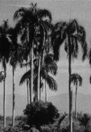 Poster Haiti 1938