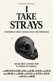 I TAKE STRAYS
