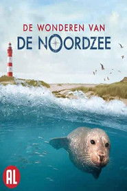 De wonderen van de Noordzee
