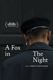 A Fox in the Night