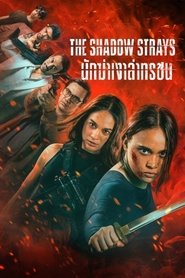 นักฆ่าเงาล่าทรชน (2024)